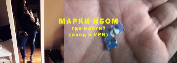 ECSTASY Белокуриха